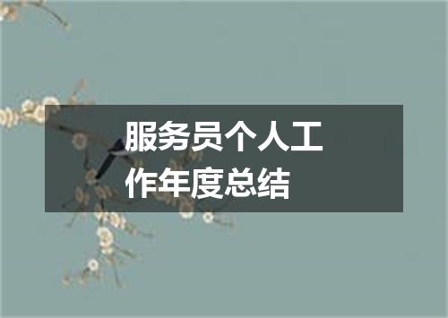 服务员个人工作年度总结
