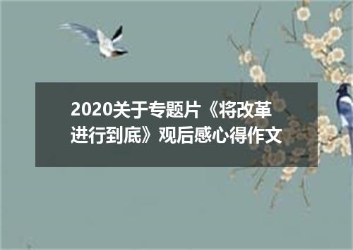 2020关于专题片《将改革进行到底》观后感心得作文