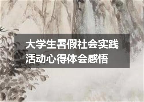 大学生暑假社会实践活动心得体会感悟