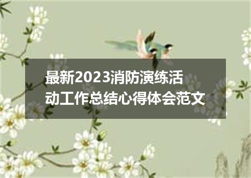 最新2023消防演练活动工作总结心得体会范文