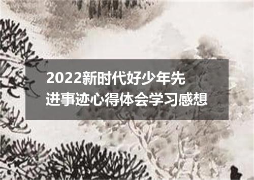2022新时代好少年先进事迹心得体会学习感想