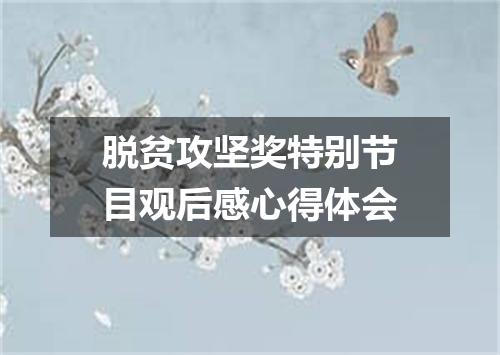 脱贫攻坚奖特别节目观后感心得体会