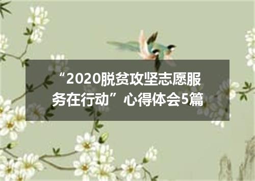 “2020脱贫攻坚志愿服务在行动”心得体会5篇