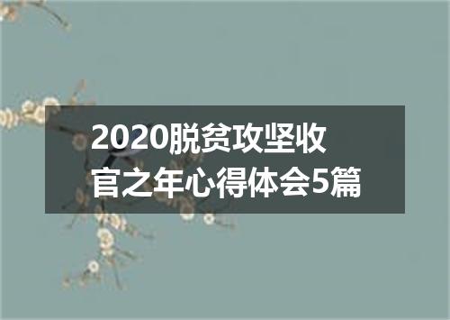 2020脱贫攻坚收官之年心得体会5篇