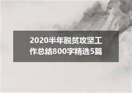 2020半年脱贫攻坚工作总结800字精选5篇