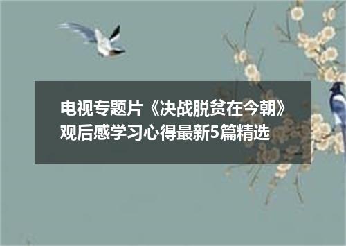 电视专题片《决战脱贫在今朝》观后感学习心得最新5篇精选