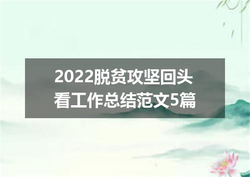 2022脱贫攻坚回头看工作总结范文5篇