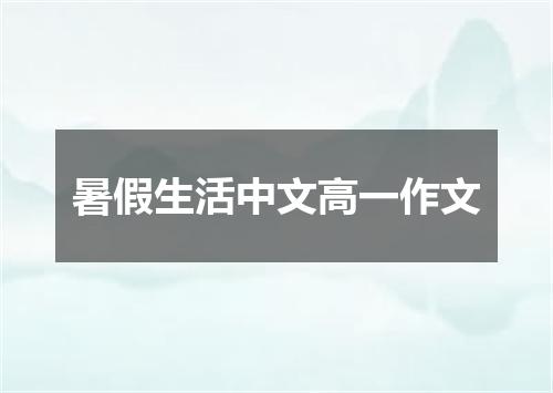 暑假生活中文高一作文