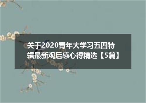 关于2020青年大学习五四特辑最新观后感心得精选【5篇】