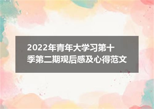 2022年青年大学习第十季第二期观后感及心得范文