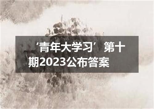 ‘青年大学习’第十期2023公布答案