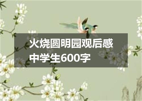 火烧圆明园观后感中学生600字
