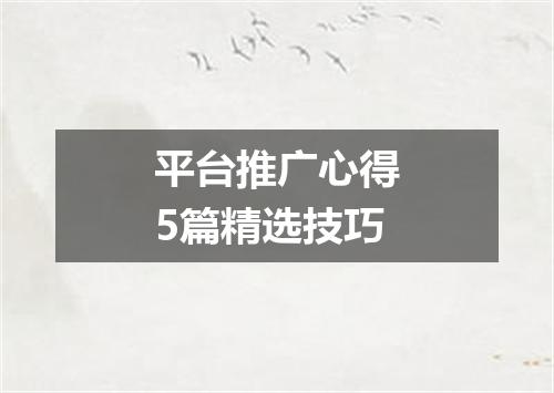 平台推广心得5篇精选技巧