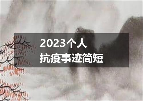 2023个人抗疫事迹简短