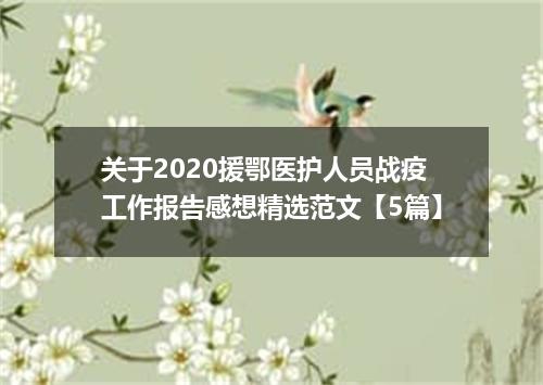 关于2020援鄂医护人员战疫工作报告感想精选范文【5篇】