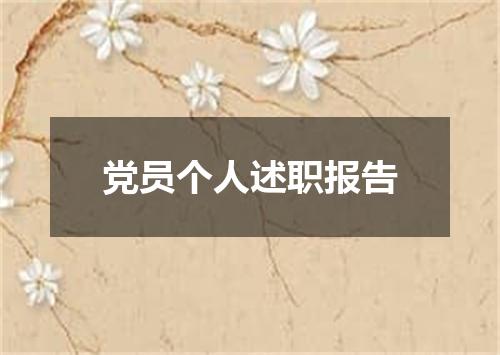 党员个人述职报告