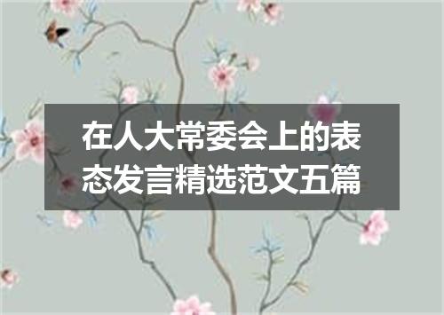 在人大常委会上的表态发言精选范文五篇