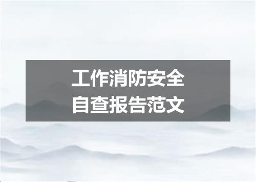 工作消防安全自查报告范文