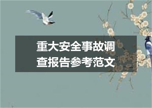重大安全事故调查报告参考范文