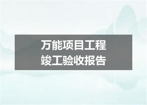 万能项目工程竣工验收报告