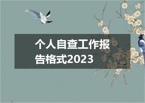 个人自查工作报告格式2023