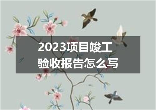2023项目竣工验收报告怎么写