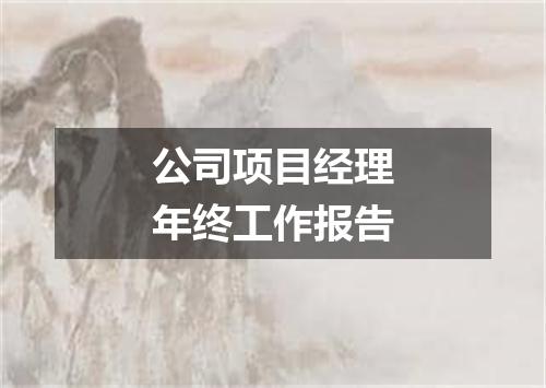 公司项目经理年终工作报告