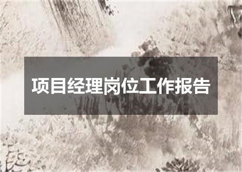 项目经理岗位工作报告