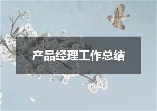 产品经理工作总结