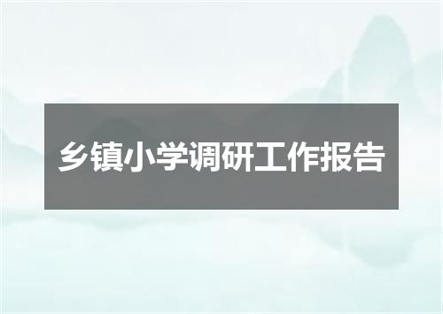乡镇小学调研工作报告