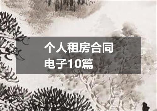 个人租房合同电子10篇
