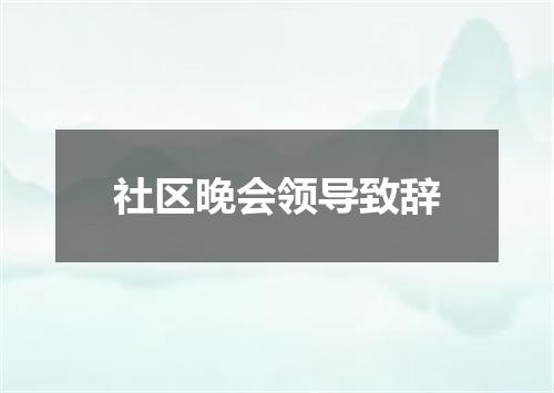 社区晚会领导致辞