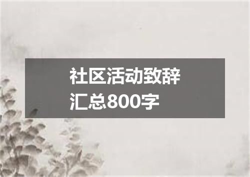 社区活动致辞汇总800字