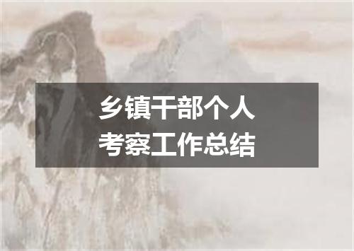 乡镇干部个人考察工作总结