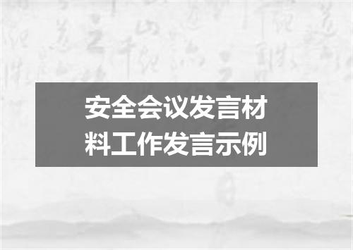 安全会议发言材料工作发言示例