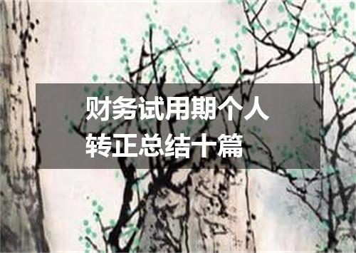 财务试用期个人转正总结十篇