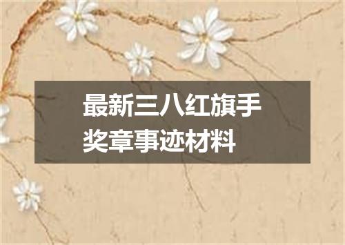 最新三八红旗手奖章事迹材料