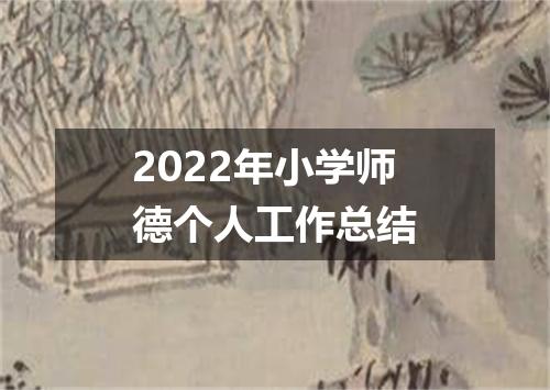 2022年小学师德个人工作总结