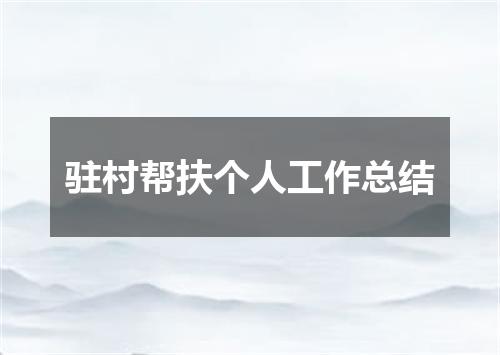 驻村帮扶个人工作总结