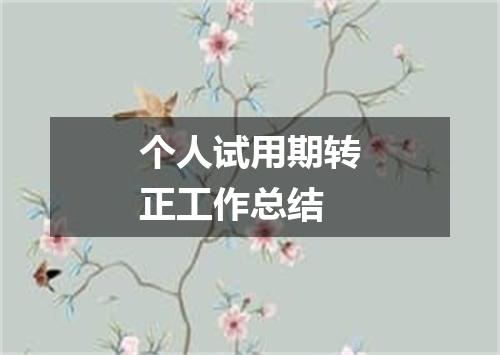 个人试用期转正工作总结