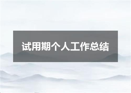 试用期个人工作总结