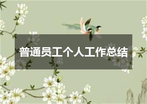 普通员工个人工作总结