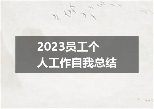 2023员工个人工作自我总结