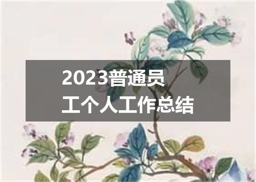 2023普通员工个人工作总结