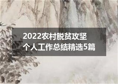 2022农村脱贫攻坚个人工作总结精选5篇