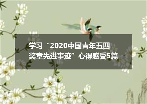 学习“2020中国青年五四奖章先进事迹”心得感受5篇