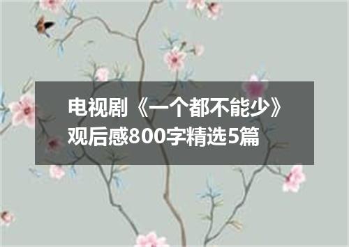 电视剧《一个都不能少》观后感800字精选5篇