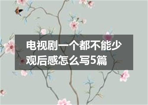 电视剧一个都不能少观后感怎么写5篇