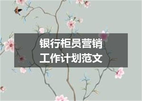 银行柜员营销工作计划范文