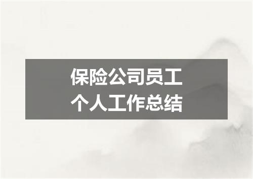 保险公司员工个人工作总结